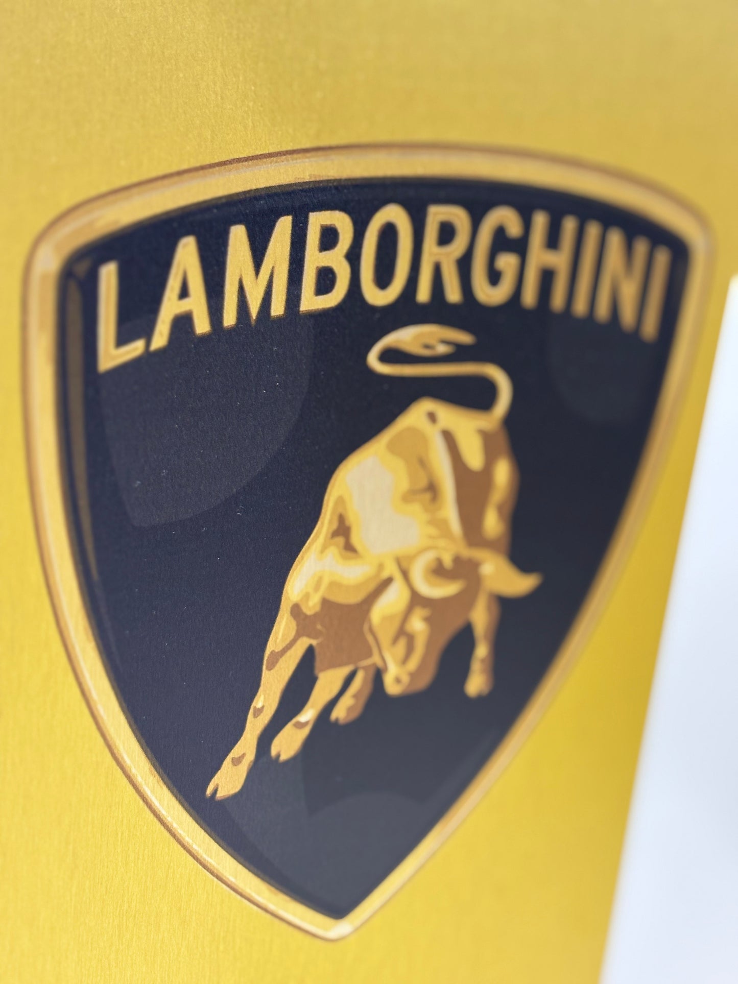 Rob VanMore - Skating by Lamborghini